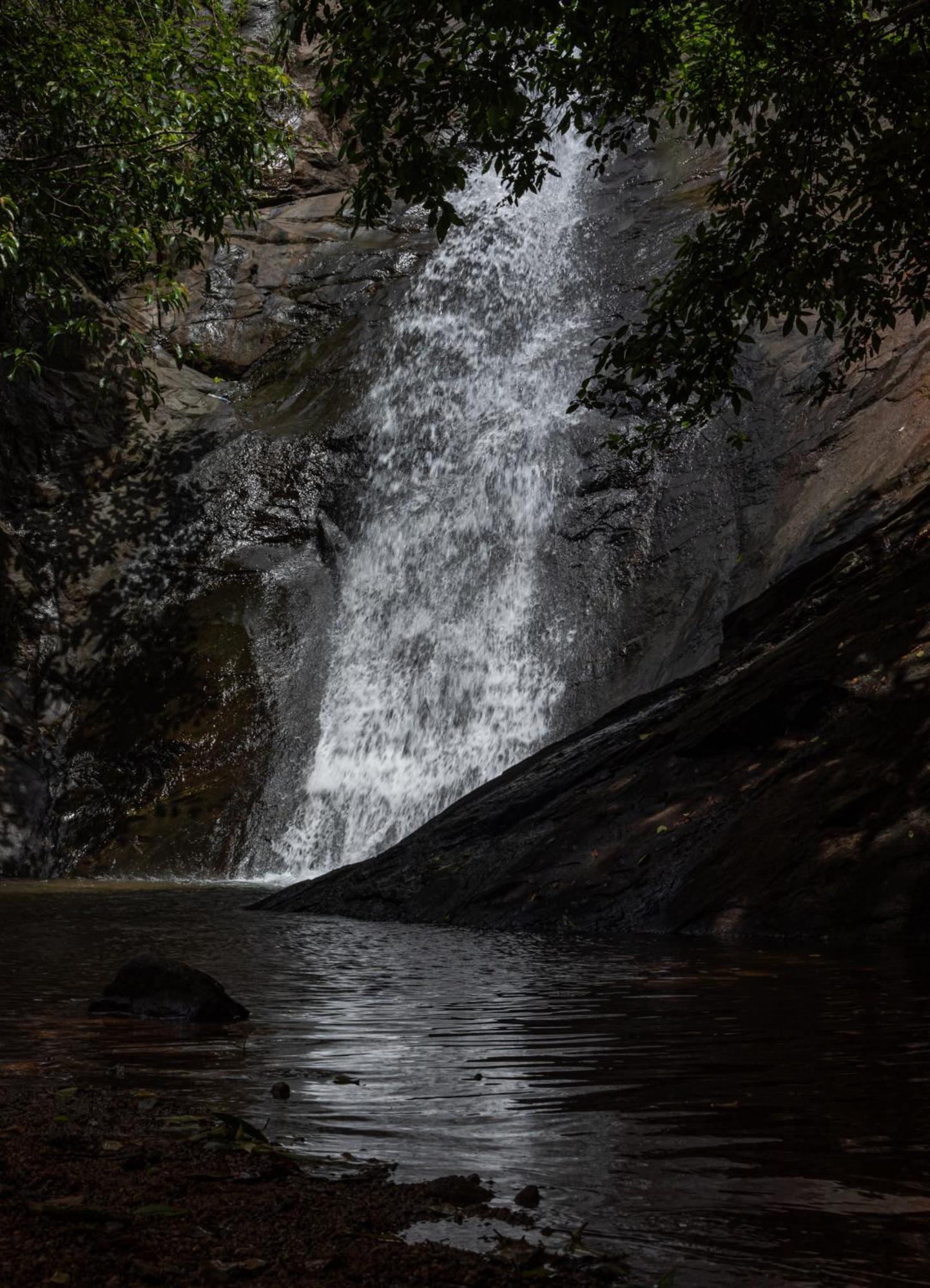 Aruvikuzhy Waterfalls Villa Kozhancheri Exterior photo